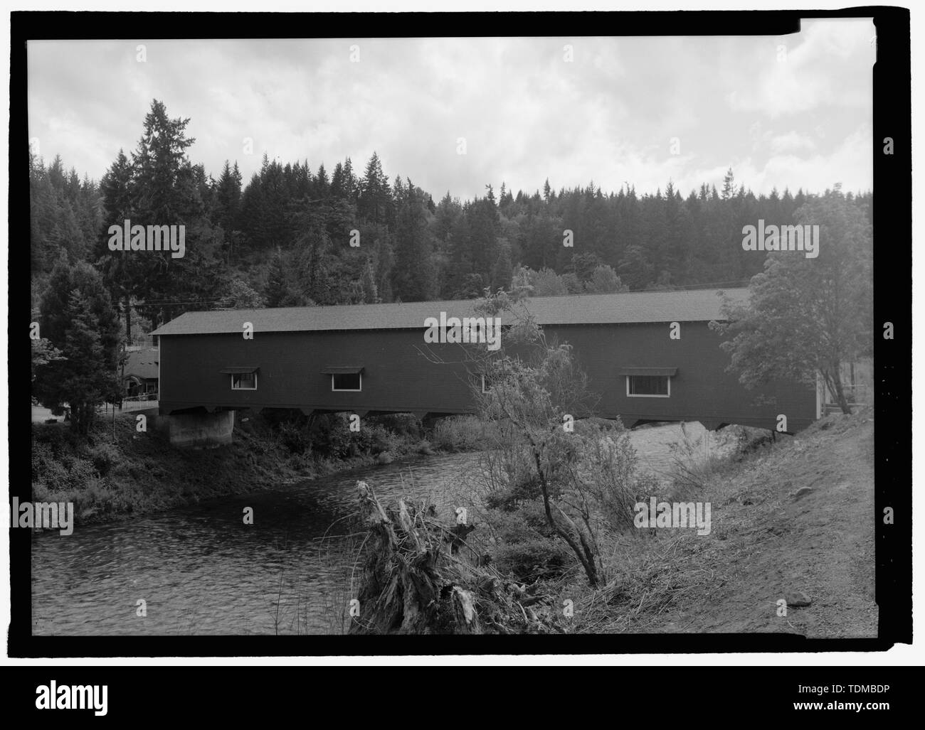 Sicht nach Norden, nach Süden - Büro Brücke, Spanning North Fork der mittleren Gabel Willamette River, Alte Mühle Straße (ehemalige Protokollierung Straße), Westfir, Lane County, ODER Stockfoto
