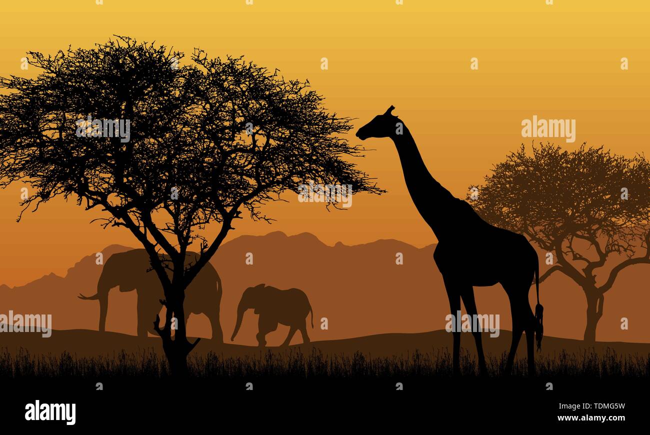 Realistische Darstellung der African Safari mit Berg- Landschaft, Bäume und Elefanten und Giraffen. Im Rahmen der Orange Sky mit der aufgehenden Sonne-Vektor Stock Vektor