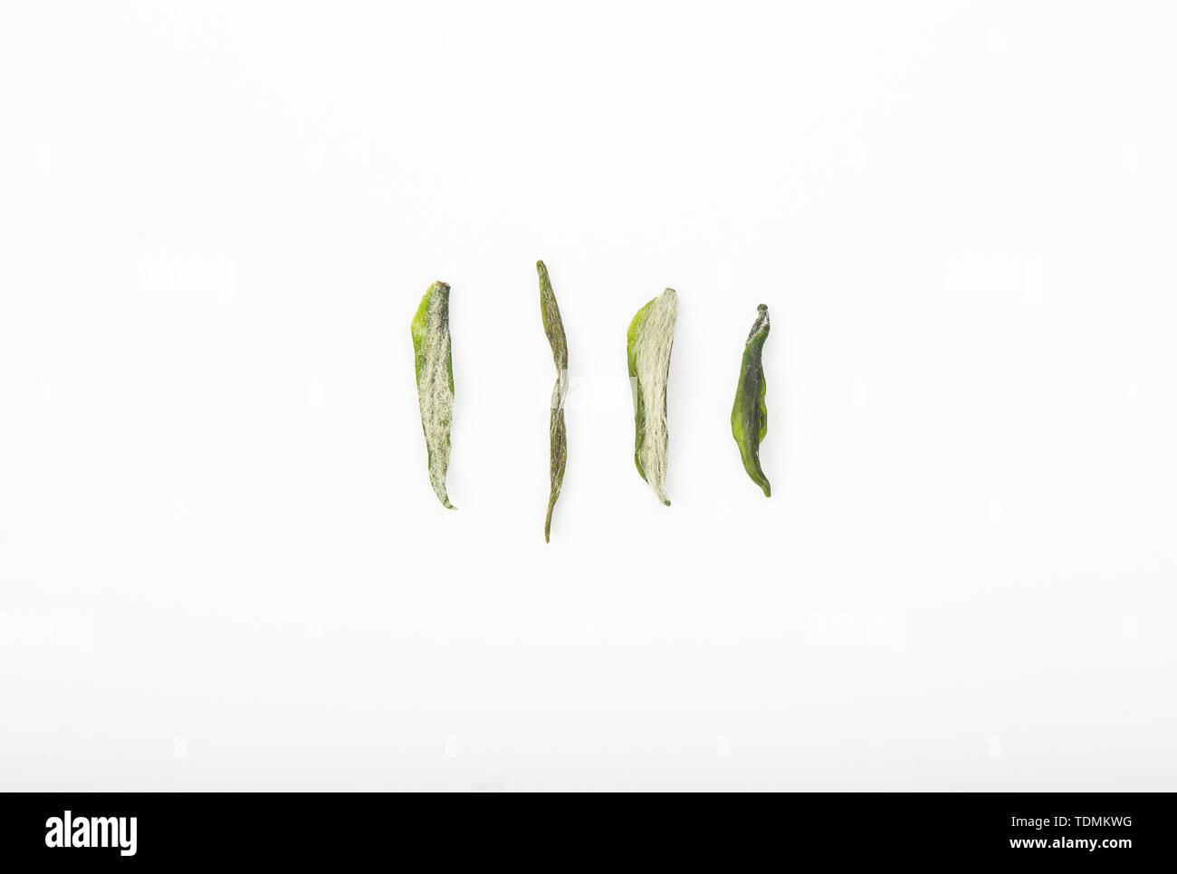 Spezielle hochwertige einzelne Knospe vor Mao Jian in Xinyang Stockfoto