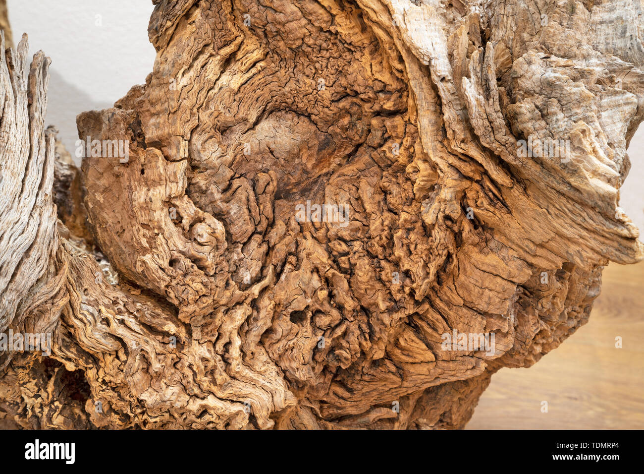 Die Details der modernen Holz Dekorative eiche Skulptur. Stockfoto