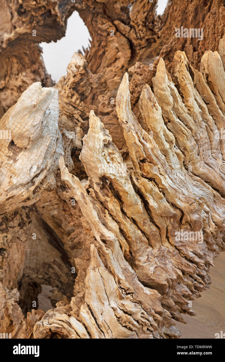 Die Details der modernen Holz Dekorative eiche Skulptur. Stockfoto