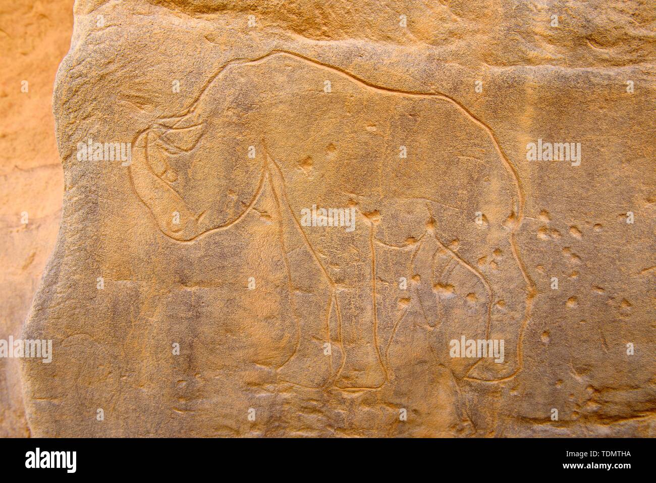 Jungsteinzeit rockart, rock Gravur eines Nashorns, Tadrart, Tassili n'Ajjer Nationalpark, Sahara, Algerien Stockfoto