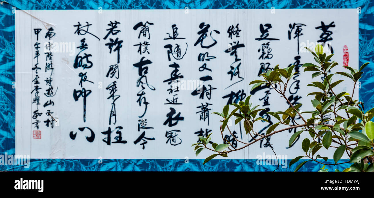 Vektor Symbol Symbol Abbildung Design (Dekoration) Kunst Kunst Natur Ornamente (Architektur) Bild Fotografie traditionellen Kalligraphie Backstage Bühne Kultur Blatt Muster muster Schilder silhouette Fotografie anlage Kalligraph Stockfoto