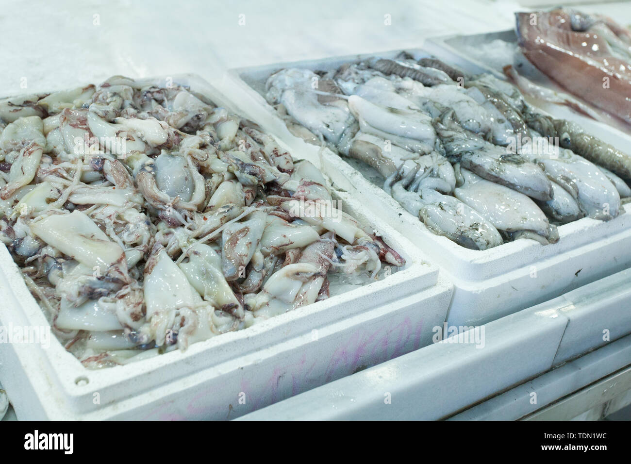 Authentische Bio-lebensmittel. Meeresfrüchte Italiener delishes in Fischmarkt Stockfoto