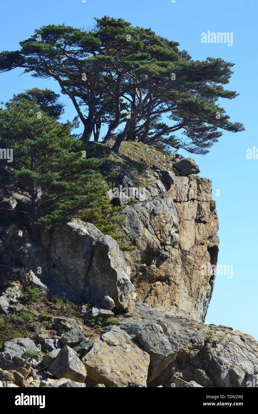 Die Schönheit der Natur in der russischen Region Primorski Stockfoto