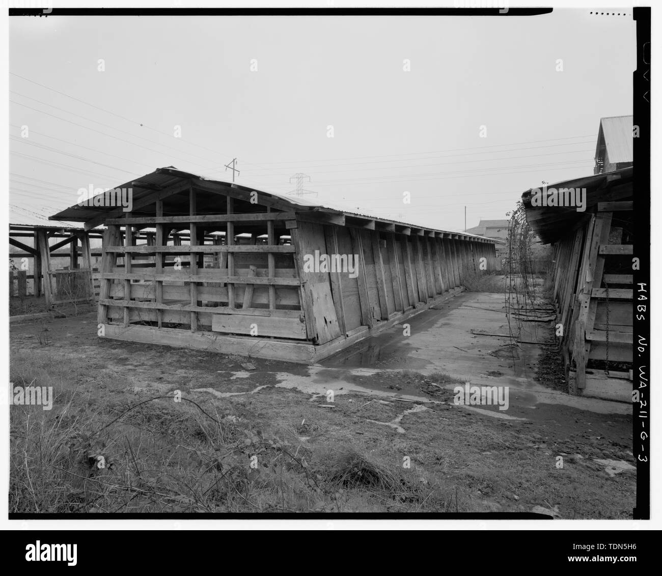 Perspektivische Ansicht des SW-Ecke Mitte feed pen einschließlich Kante von South feed Pan auf der rechten Seite. - Kosai Farm, Stifte, B Straße, nördlich von Nordwesten Twenty-ninth Street, Auburn, King County, WA Stockfoto