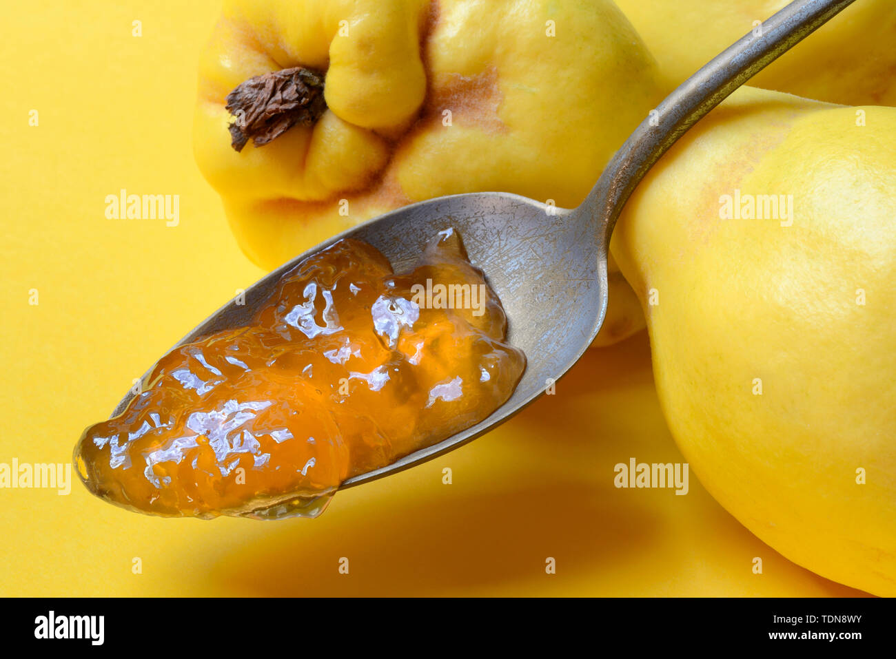 Quittengelee in Firma Loeffel, Quitten, Cydonia oblonga Stockfoto