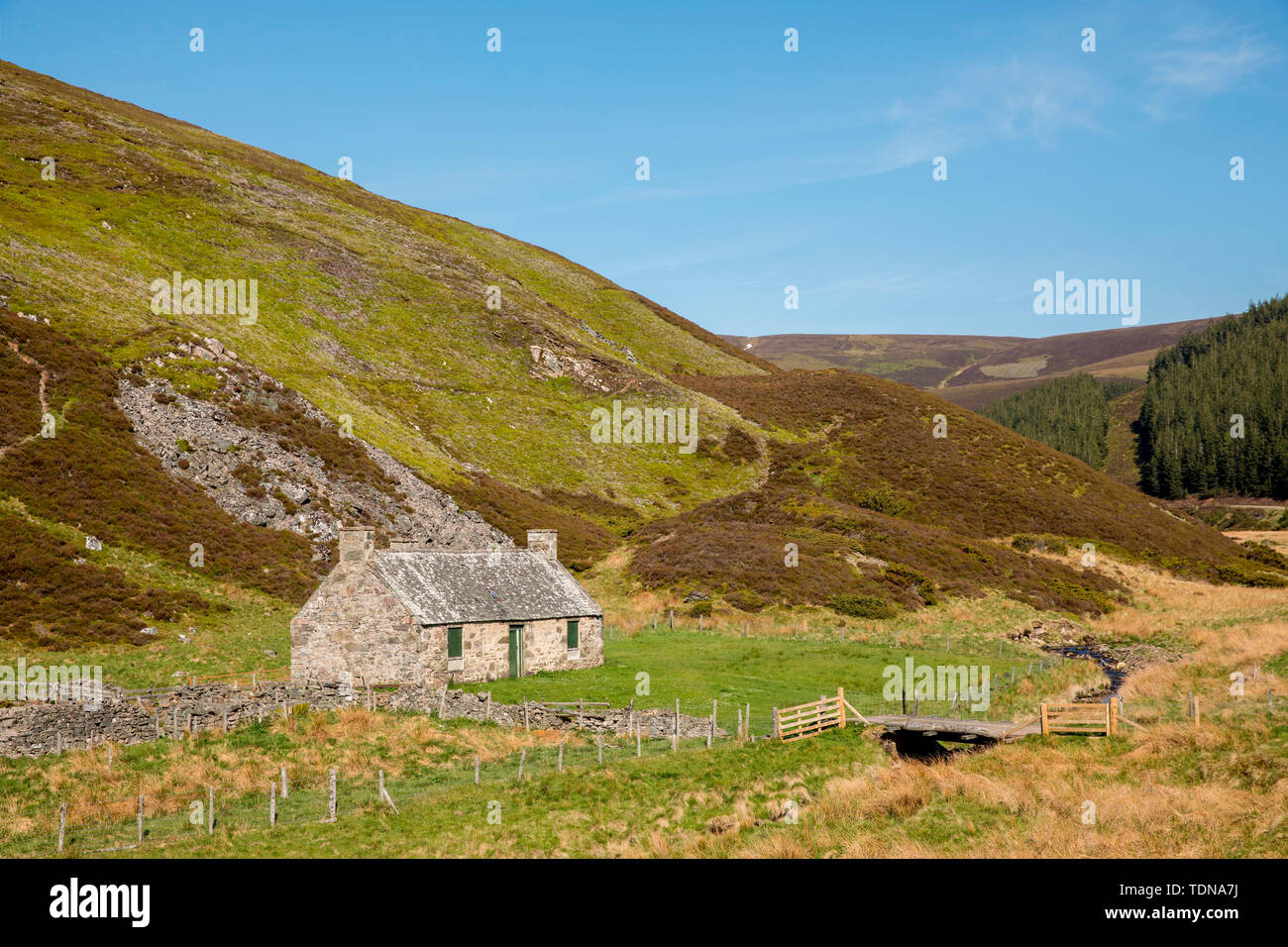 Hochland, Cairngorm NP, Schottland, Großbritannien Stockfoto