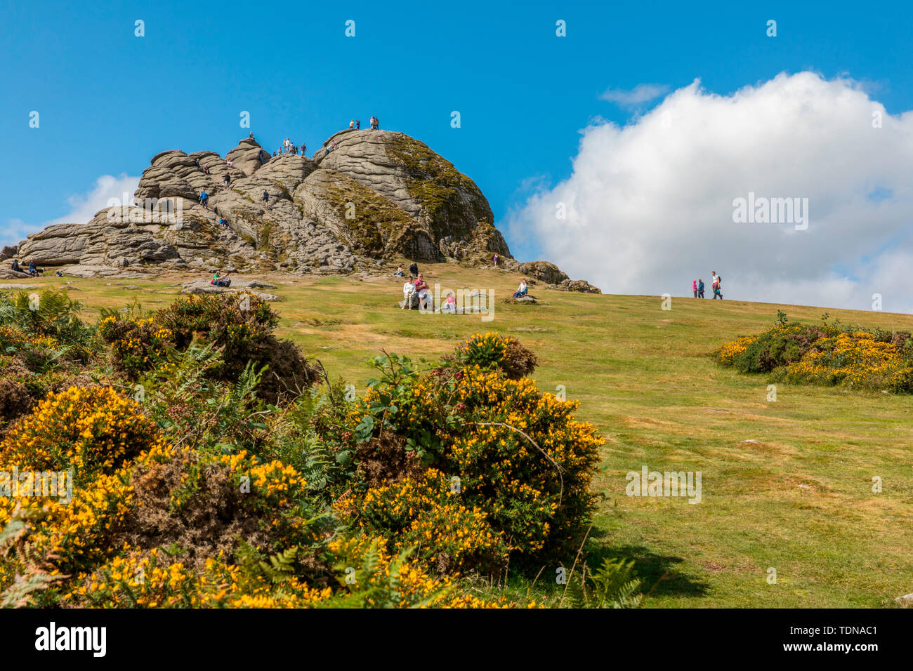 Haytor Rock, NP Dartmoor, Devon, Großbritannien Stockfoto