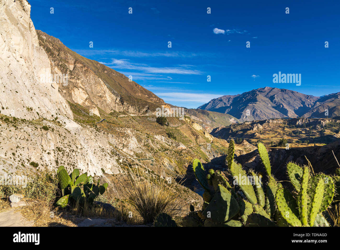 Blick entlang der Kante des Colca Canyon, Peru, Südamerika Stockfoto