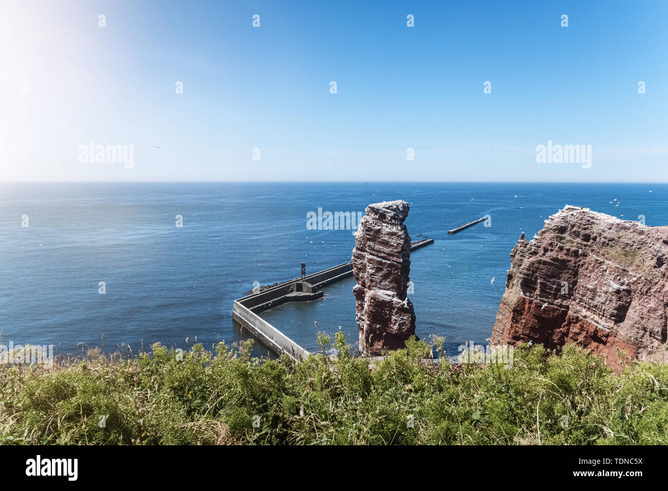 Hoher See stack Lange Anna auf der Insel Helgoland, Deutschland durch fliegende Vögel auf sonnigen Sommertag umgeben. Stockfoto