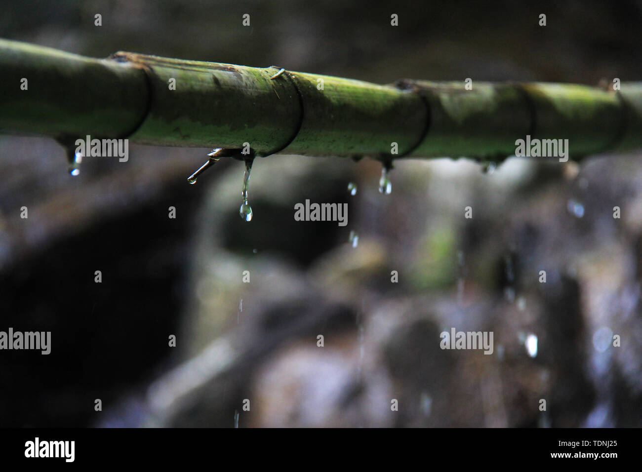Fließendes Wasser im Bambuswald in Maoershan, der Stadt Guilin Stockfoto