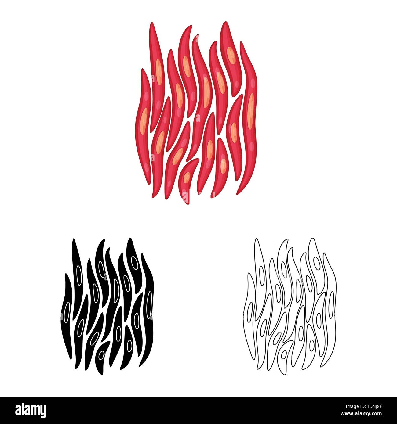 Vector Illustration der Faser und muskulös. Sammlung von Faser- und Körper vektor Symbol für das Lager. Stock Vektor