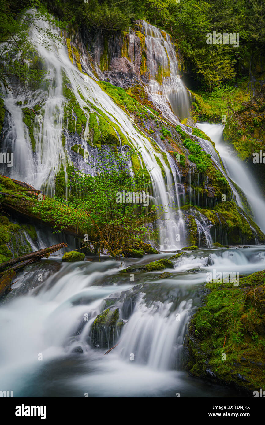 Panther Creek Falls ist eine 130 Fuß (40 m) Wasserfall auf Panther Creek im Wind River Valley in Skamania County, Washington. Der Wasserfall besteht aus Stockfoto