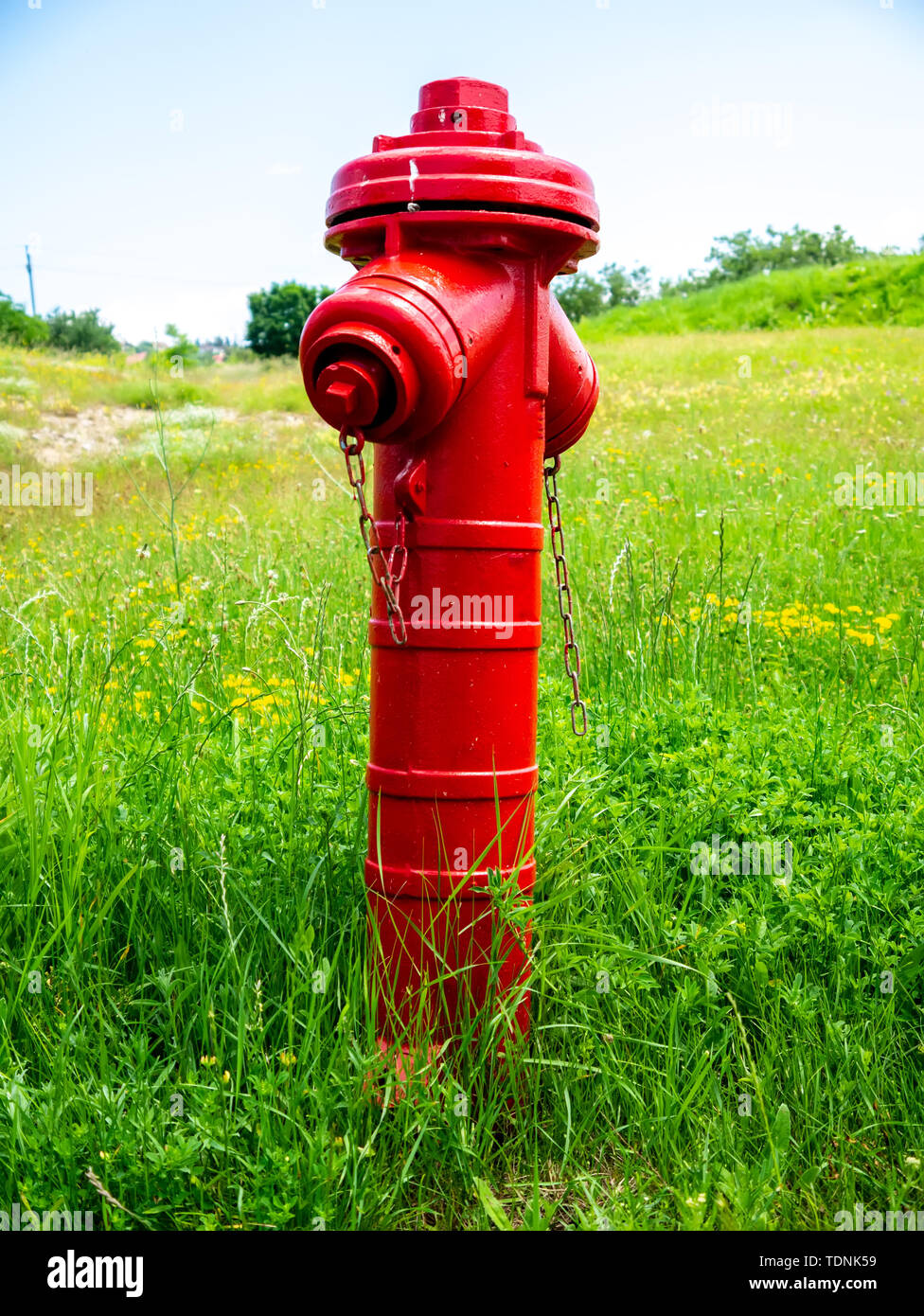 Blick auf ein Feuer hydrand auf der grünen Wiese an einem sonnigen Tag. Stockfoto
