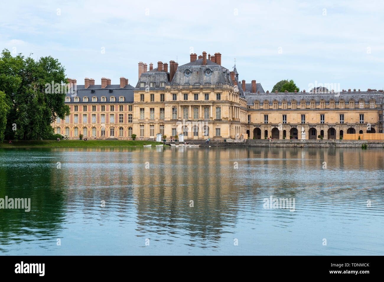 Karpfen Teich im Château de Fontainebleau, Seine-et-Marne, Region Île-de-France Frankreich Stockfoto
