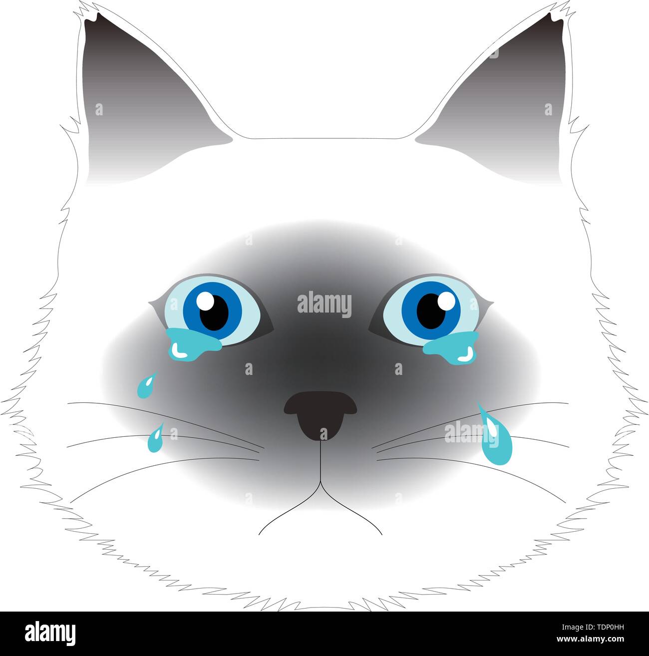 Weinend Birman cat, Computer Graphics, CG, Vektor, Vektoren Stockfoto