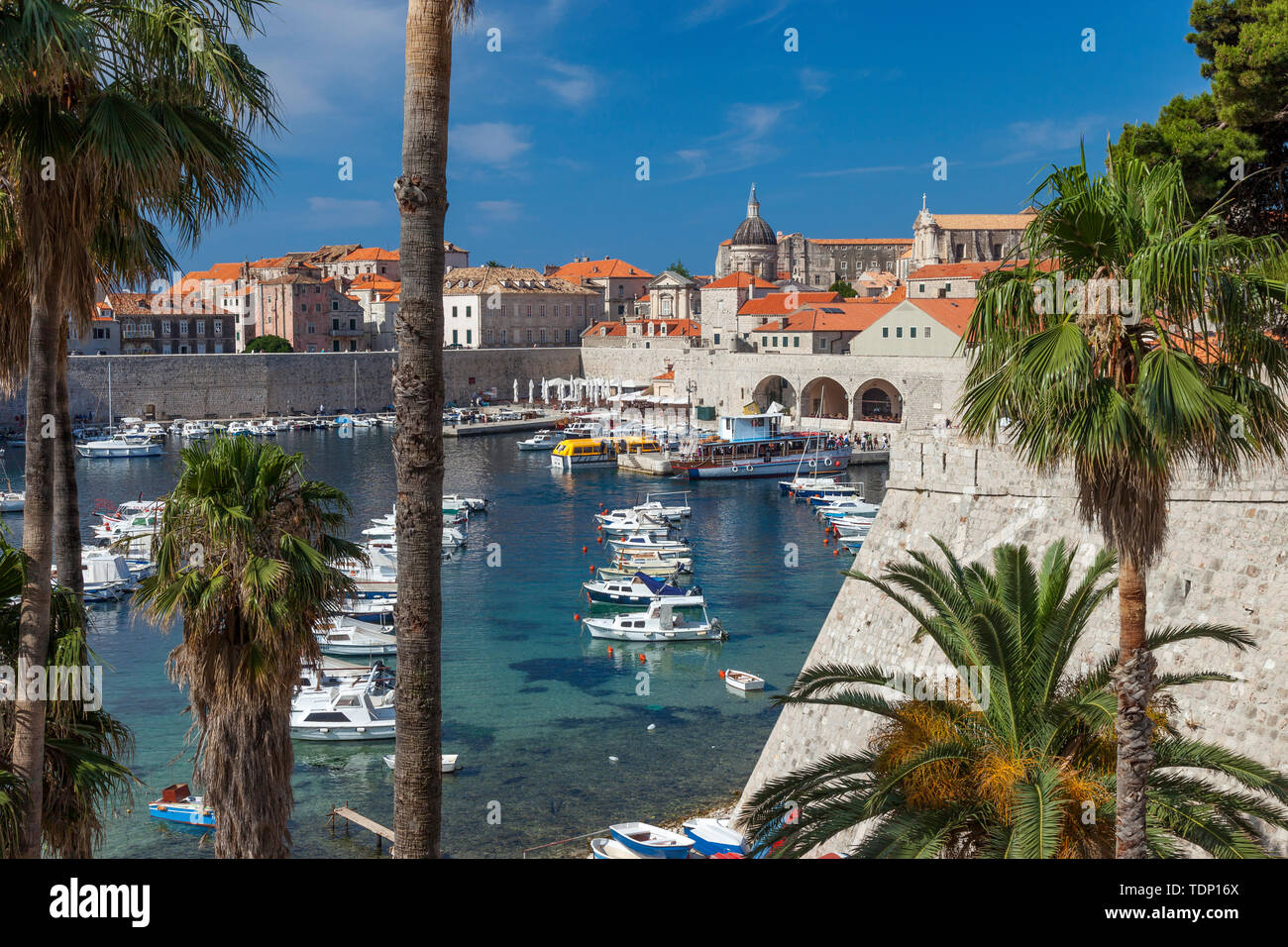 Morgen Aussicht über den Hafen und die Altstadt von Dubrovnik, Kroatien Stockfoto