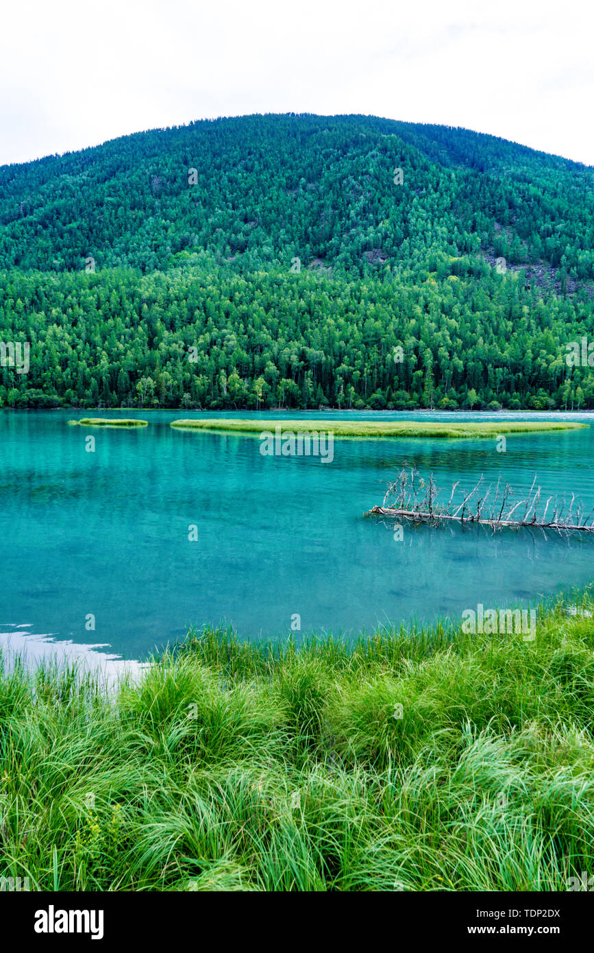 Kanas See Wolong Bay Xinjiang Sommer Stockfoto