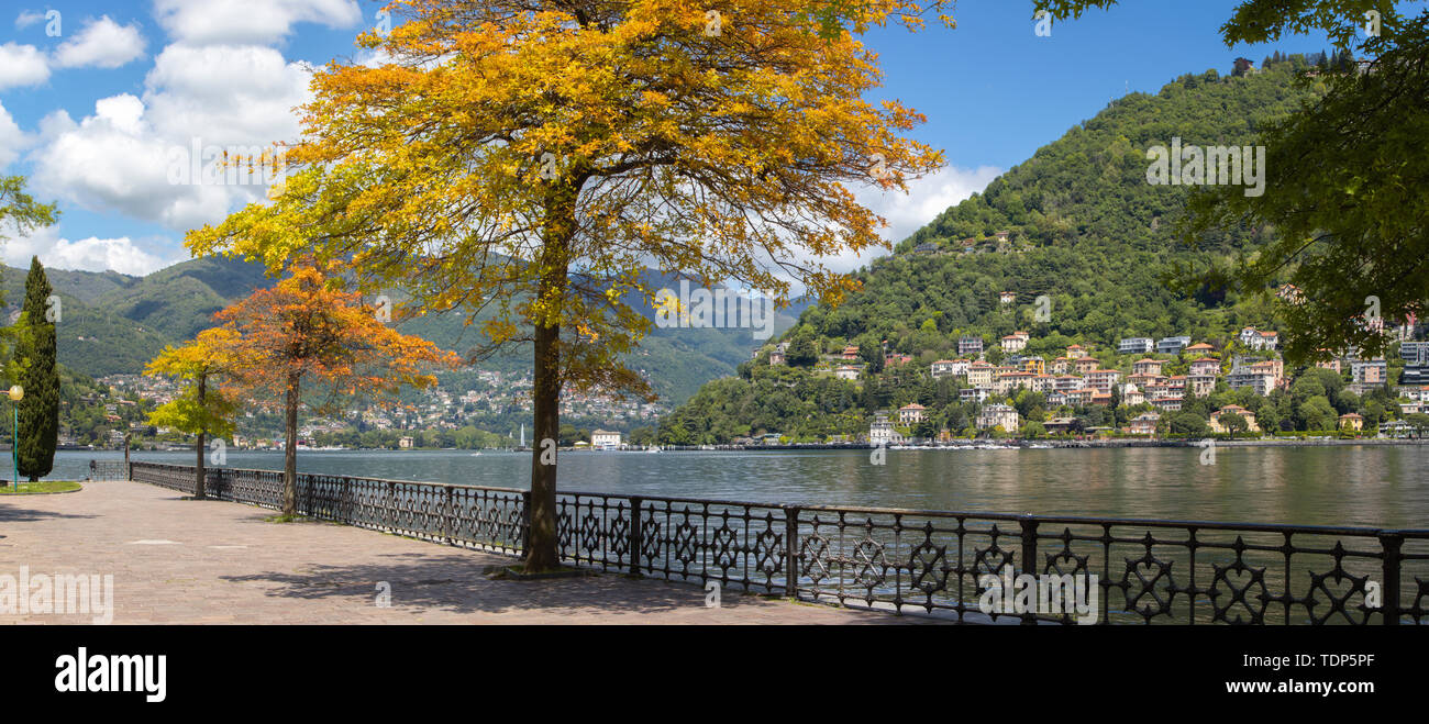 Como - die Promenade und dem Comer See. Stockfoto