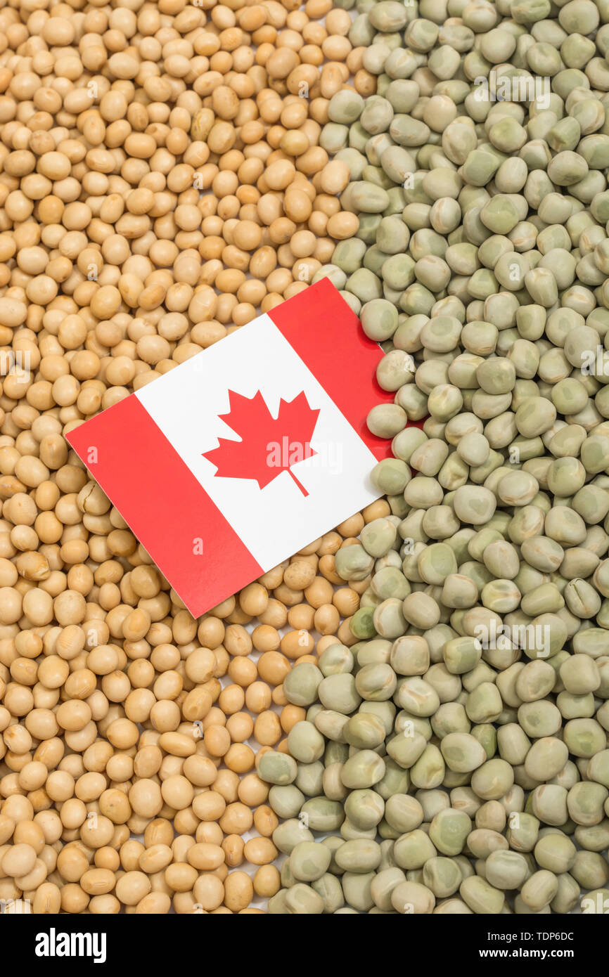 Kanadische Flagge mit getrocknete Sojabohnen und getrockneten Erbsen. Kanadischen Hersteller haben Hindernisse Hindernisse von landwirtschaftlichen Waren, die China eingeben. Stockfoto