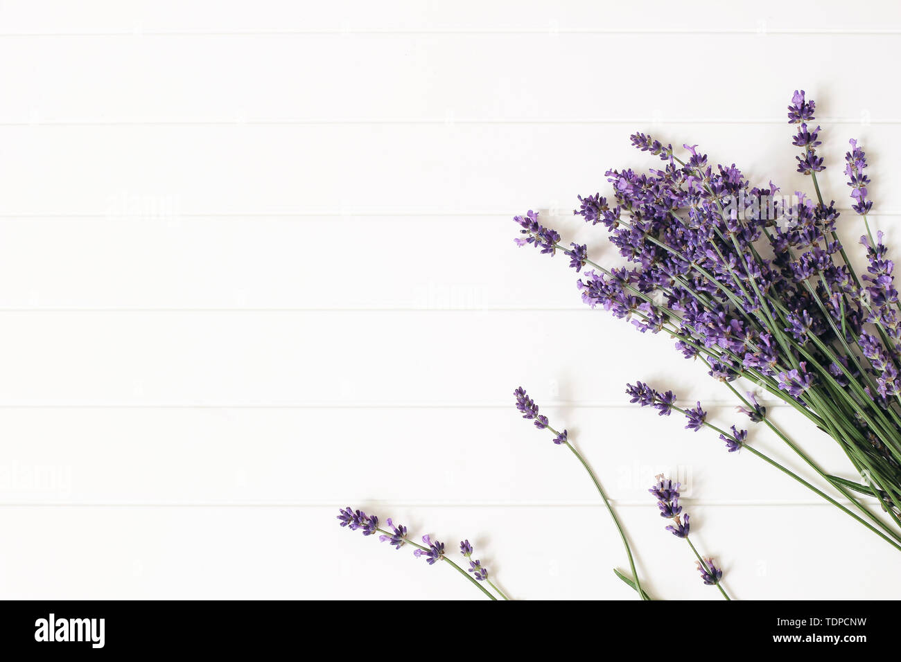 Blumenstrauß aus Lavendelblüten auf weissem Holztisch Hintergrund. Dekorative Blumen Rahmen, Web Banner mit Lavandula officinalis. Französische Sommer Design, ar Stockfoto