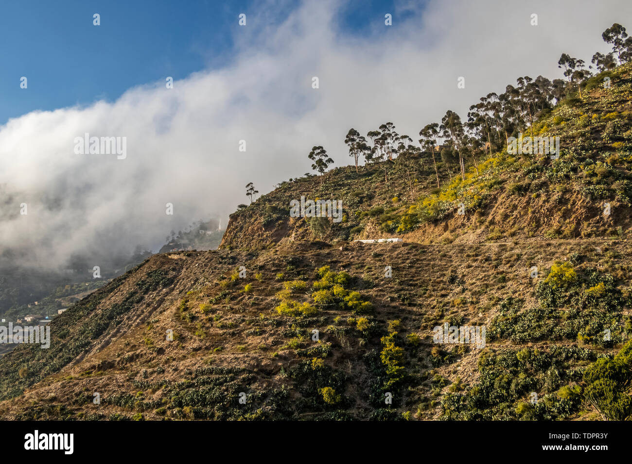 Eritreische Escarpment, als aus dem Asmara-Massawa Straße gesehen; Central Region, Eritrea Stockfoto