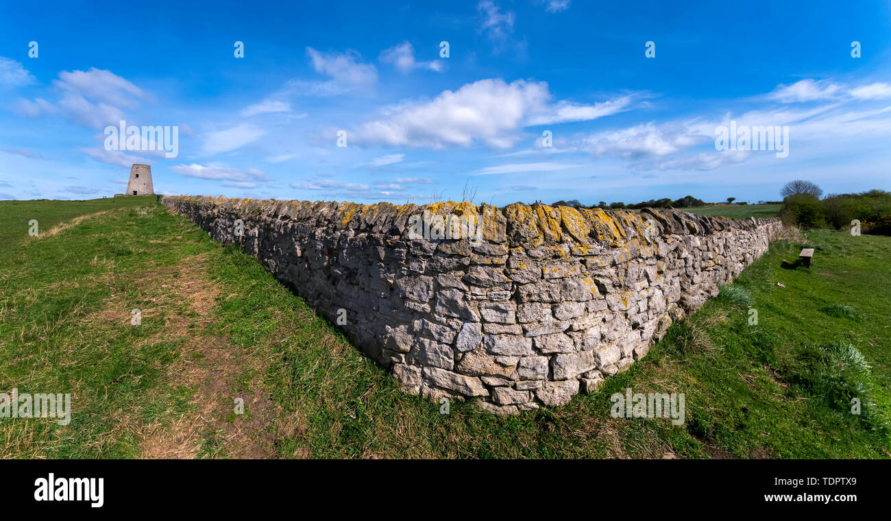 Alte Steinmauer entlang einer Rasenfläche mit einem runden Turm in der Ferne; South Shields, Tyne und Wear, England Stockfoto