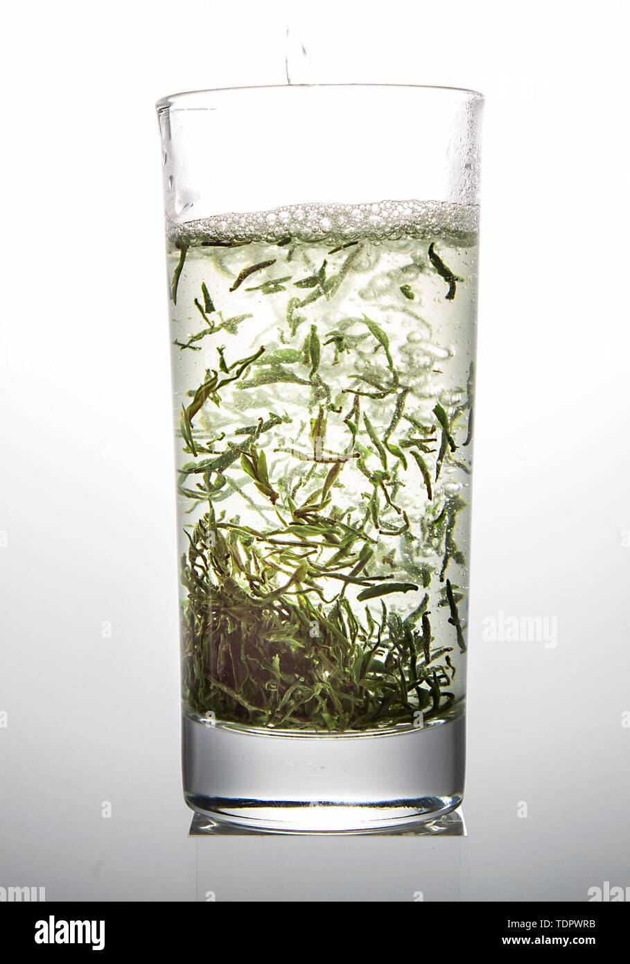 Spezielle hochwertige einzelne Knospe vor Mao Jian in Xinyang Stockfoto