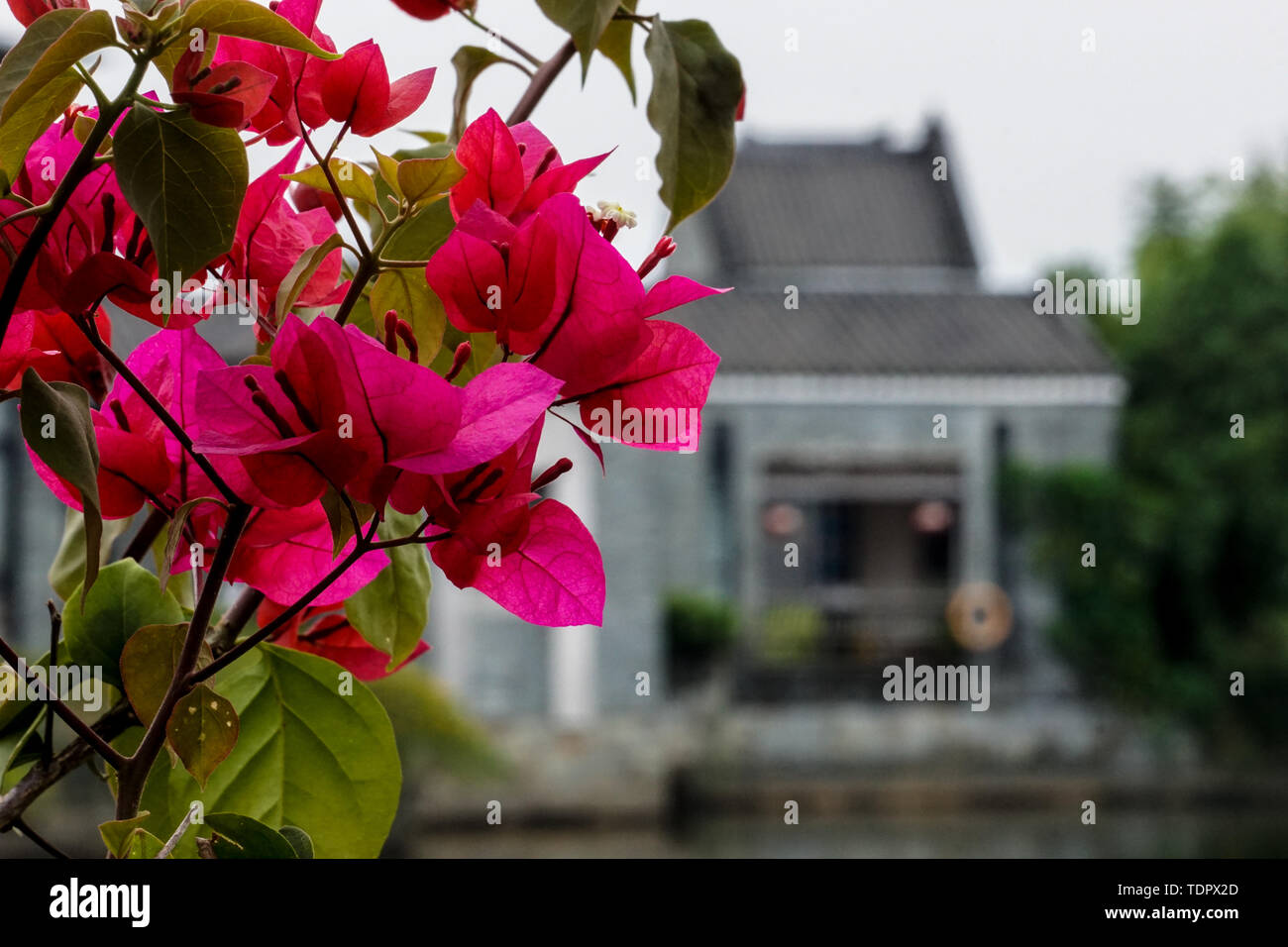 Guangzhou Panyu Universität Stadt Lingnan Impressionen Garten Lingnan Architektur, Wohn- Residence Stockfoto