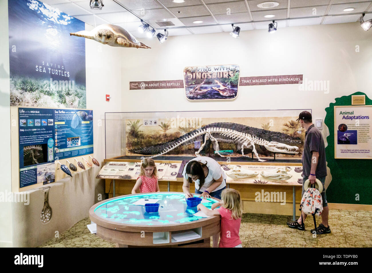 Sanibel Island Florida, J.N. Ding Darling National Wildlife Refuge, Umweltschutzerziehung, Besucherzentrum, interaktive Ausstellung, Erwachsener Stockfoto