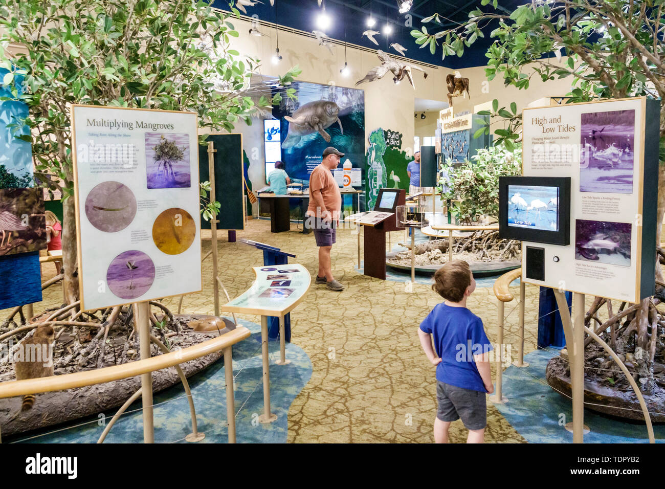 Sanibel Island Florida, J.N. Ding Darling National Wildlife Refuge, al Conservation Education, Besucherzentrum, interaktive Ausstellung, Jungen, Stockfoto