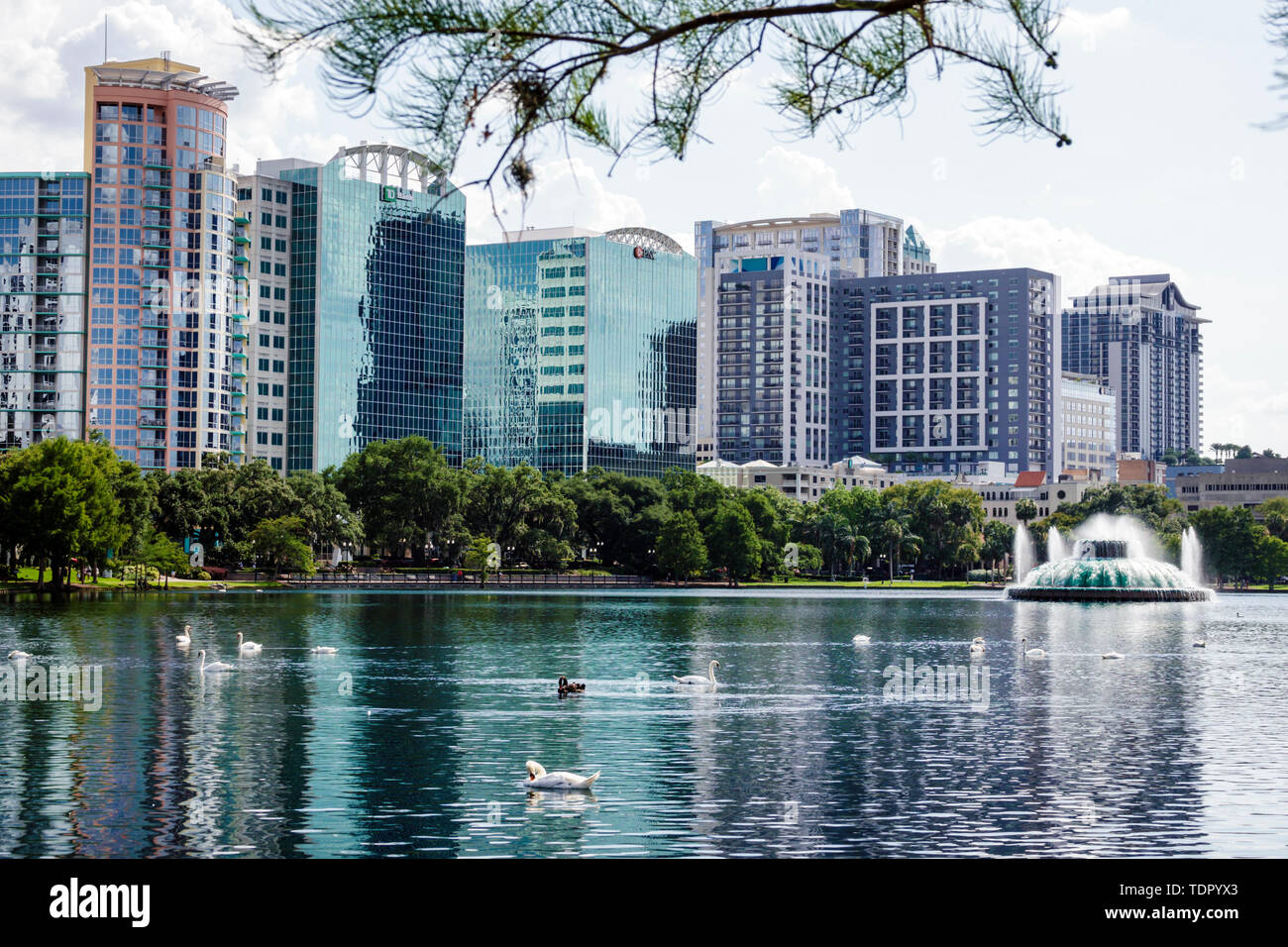 Orlando Florida, Innenstadt, Lake Eola Park, öffentlicher Park, Skyline der Stadt, Hochhäuser, Geschäftsbüros, moderne Architektur, Brunnen, Enten, FL190511061 Stockfoto