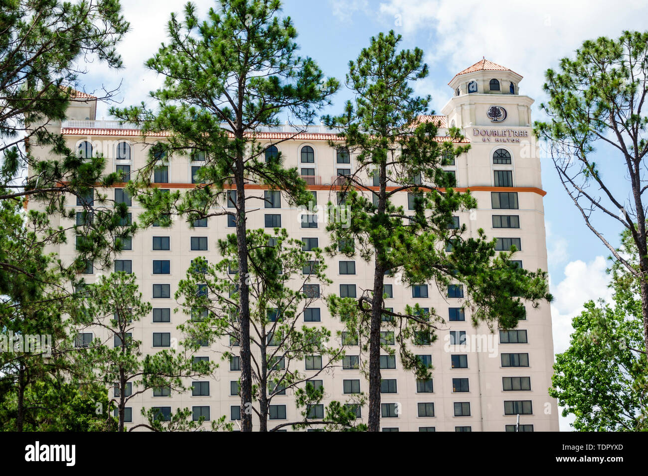 Orlando Florida, Doubletree by Hilton Hotel Orlando at SeaWorld, Hotel, Außengebäude, Hochhaus, Pinien, FL190512006 Stockfoto