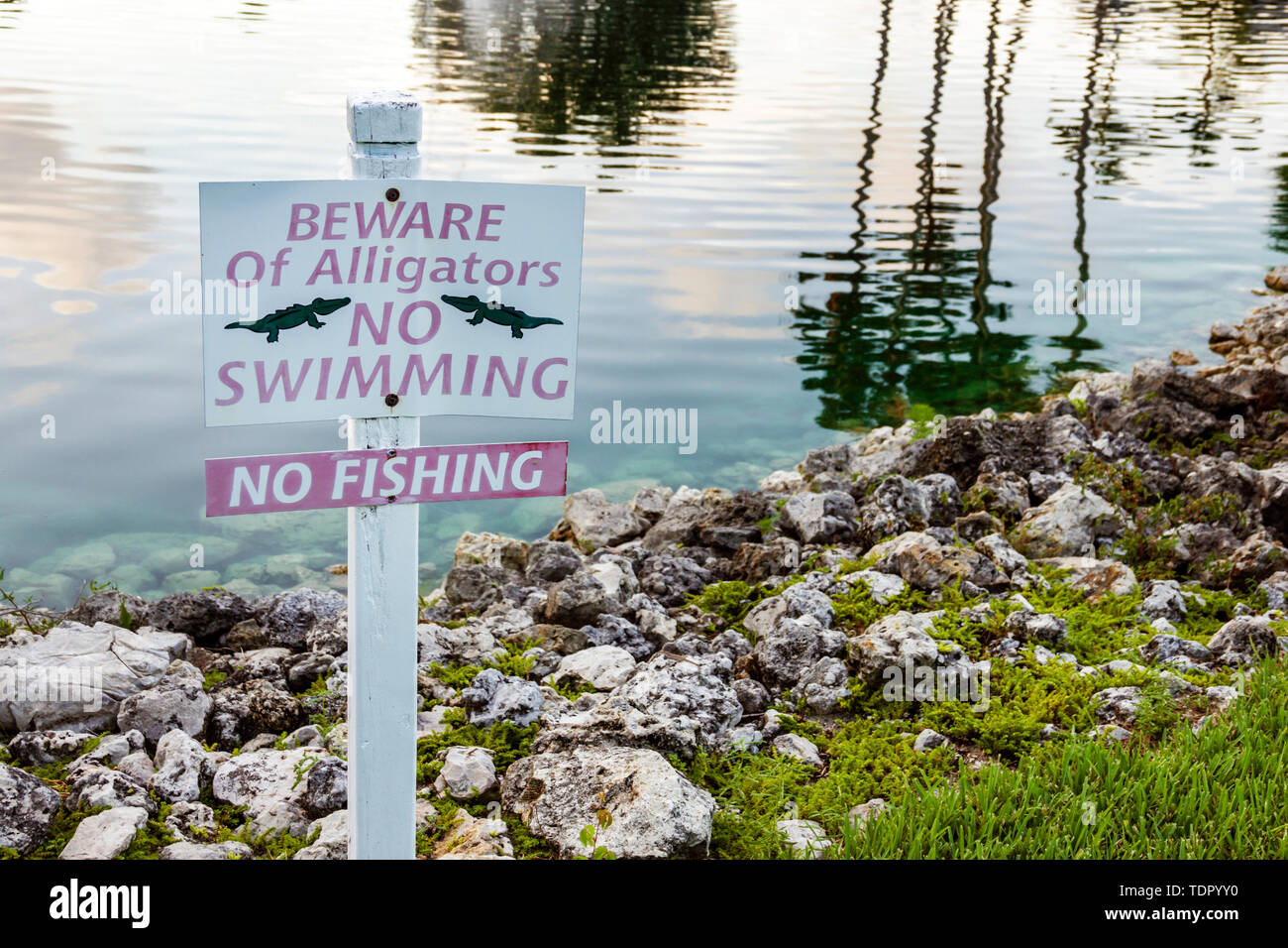 Naples Florida, GreenLinks Golf Villas in Lely Resort, See, Schild, Warnung, kein Angeln Schwimmen, Vorsicht, Alligatoren, FL190512021 Stockfoto