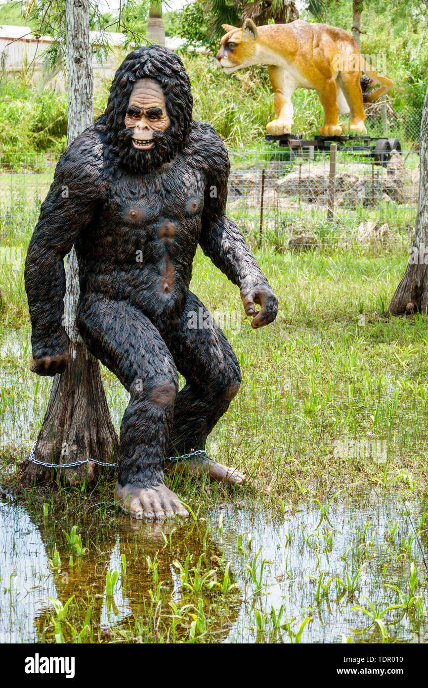 Florida, Ochopee, Everglades, Tamiami Trail, Skunkape Skunk Ape Research Headquarters, Attraktionen am Straßenrand, Merkwürdigkeiten, Fabelwesen, Skulptur, Panther, FL190 Stockfoto