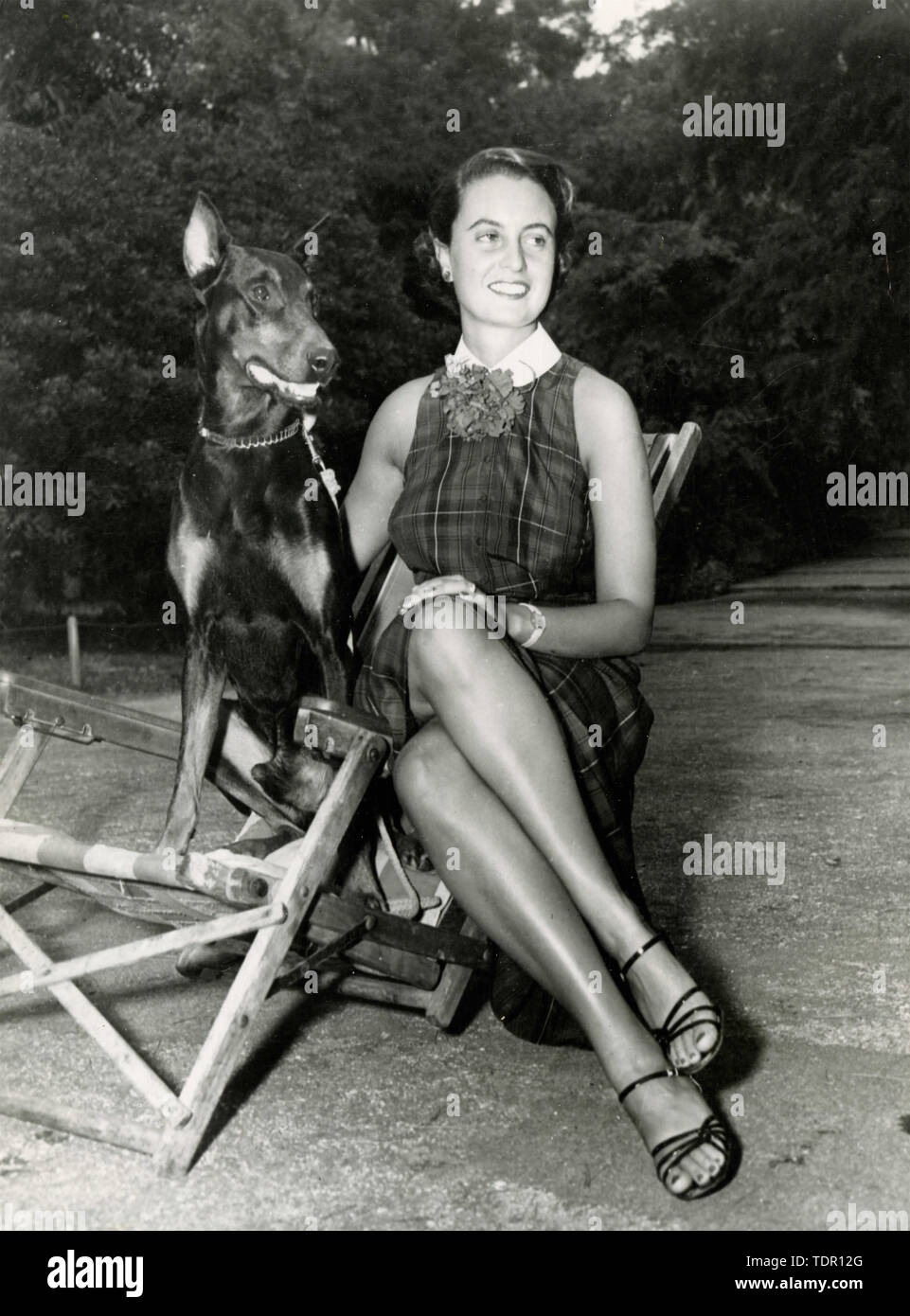 Nicht identifizierte Frau mit einem Dobermann Hund, 1960er Jahre Stockfoto