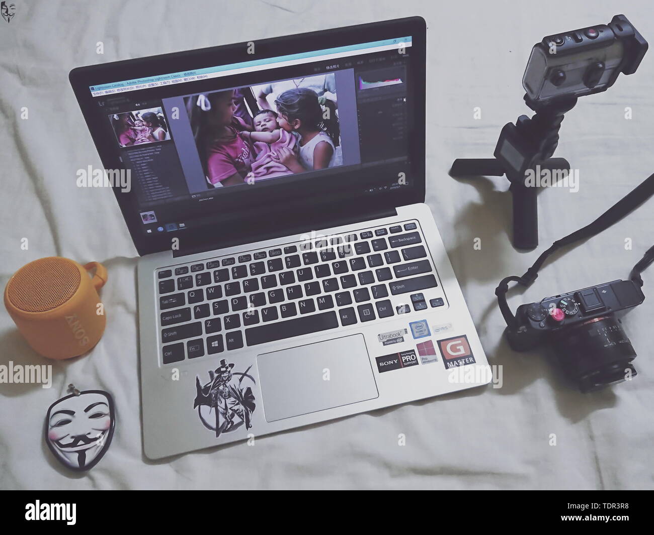 Fox's Weg zur Fotografie. Stockfoto