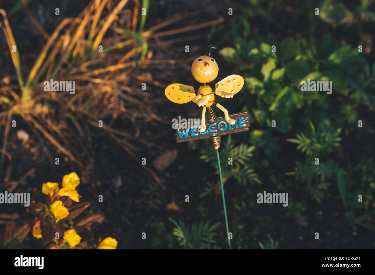 Helle Spielzeug Biene mit der Aufschrift willkommen Stockfoto