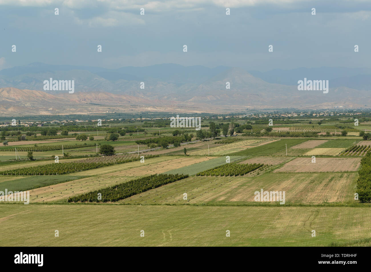 Foto von Feldern mit einer Ernte zusammen mit einem Dorf im Hintergrund auf die Berge Stockfoto