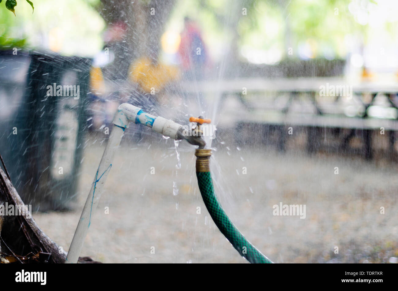 Garten Wasserhahn verschwenden Wasser durch Kühlung der Hof mit einem grünen Bewässerung Schlauch angeschlossen Stockfoto