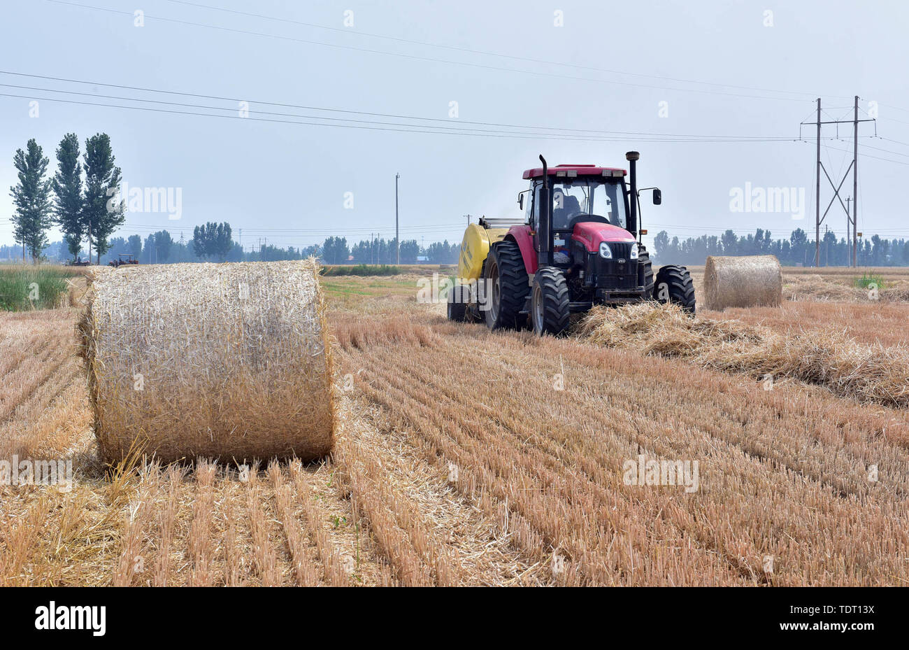 Hebei, Provinz Hebei, China. Juni, 2019 18. Hebei, China - 18. Juni 2016: (redaktionelle Verwendung. CHINA) im Dorf der Stadt xinle chenganpu, Shijiazhuang, Provinz Hebei, Landwirte zu wachsen professionelle Genossenschaften werden mit Maschinen Weizen Stroh zu bündeln. Weizen Ernte, shijiazhuang Landwirten rund um den geschäftigen Strohballen Recycling. Die recycelten Stroh kann in landwirtschaftlichen Anbau genutzt werden, Biomasse und andere Felder, wirksame Verbesserung der umfassenden Auslastung von Stroh, und bringt zusätzliche Einnahmen, die den Landwirten Kredite: SIPA Asien/ZUMA Draht/Alamy leben Nachrichten Stockfoto