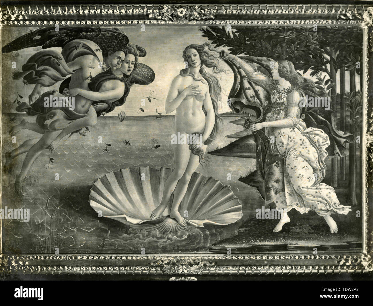 Die Geburt der Venus, Gemälde von Botticelli, 1930er Jahre Stockfoto