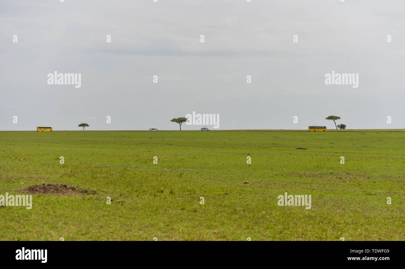 Nairobi. 17 Juni, 2019. Kenianische Schülerinnen Beobachten wilder Tiere auf Schulbusse in Masai Mara National Reserve in Kenia, 17. Juni 2019. Credit: Li Yan/Xinhua/Alamy leben Nachrichten Stockfoto