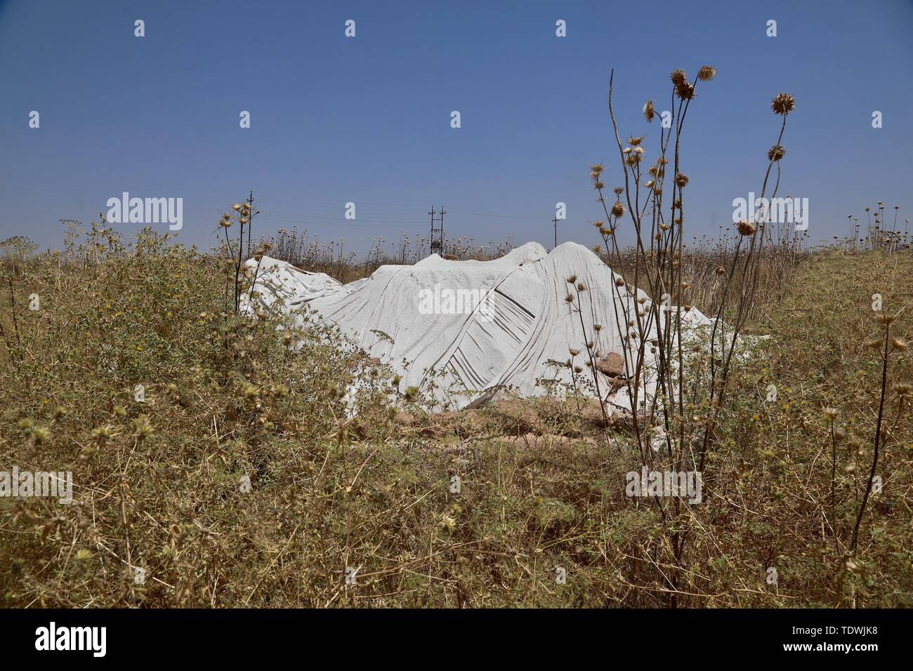 (190619) - NIMRUD (Irak), 19. Juni 2019 (Xinhua) - Das Foto am 13. Juni 2019 zeigt, bleibt der Lamassus Statue an der Ausgrabungsstätte von Nimrud, Irak genommen. Mit einer dicken Schicht von wildes Unkraut bedeckt, massive Zerstörung der alten Paläste, Tempel und ziggurat Links keine Anzeichen für glorreiche archäologische Stätte des Irak von Nimrud nach fast drei Jahren der Befreiung vom islamischen Staat (IST). (Xinhua) ZU GEHEN, mit Feature: Irakische archäologische Stätte liegt in Trümmern nach fast 3 Jahren der Befreiung von IST Stockfoto