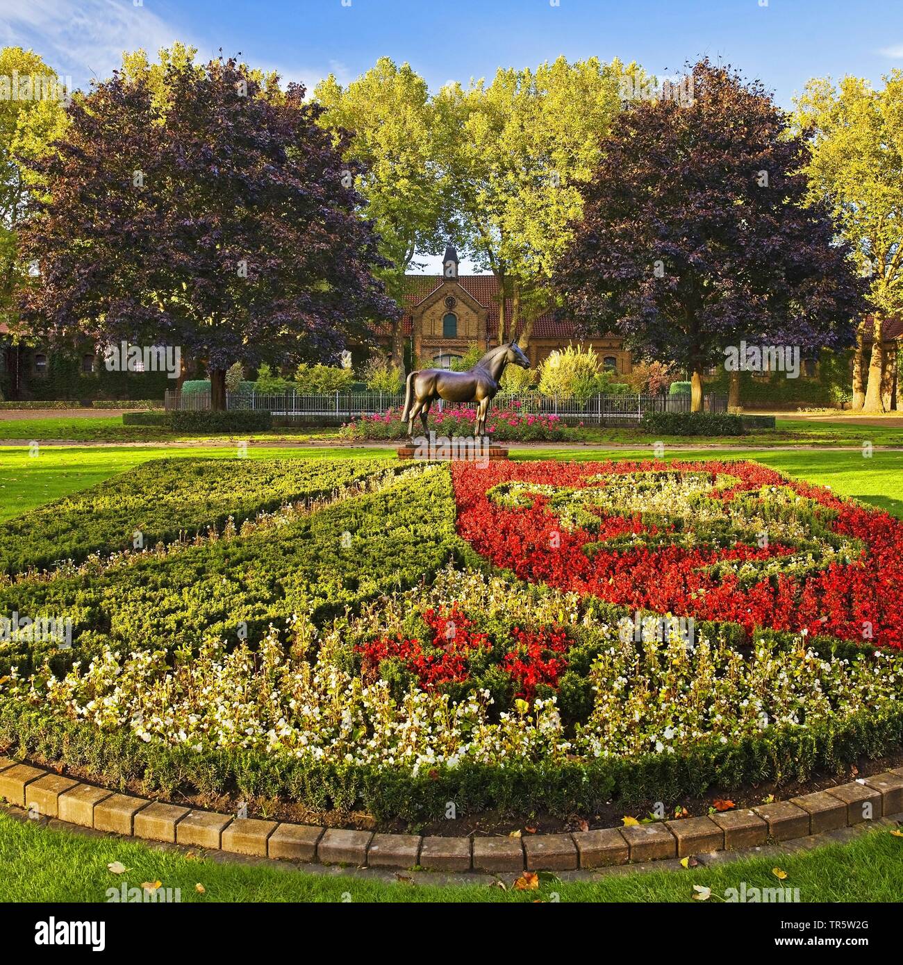 Blumenbeet als NRW blazon, Nrw-Gestüt, Deutschland, Nordrhein-Westfalen, Münsterland, Münster Stockfoto