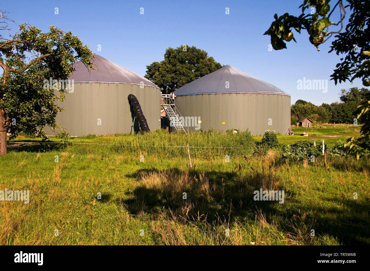 Biogasanlage, Deutschland, Schleswig-Holstein, Mechow Stockfoto