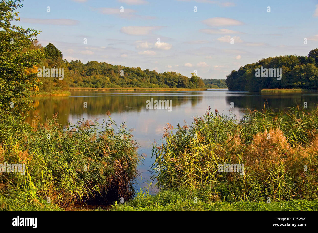 See Schaalsee Deutschland Schleswig Holstein Seedorf Stockfoto