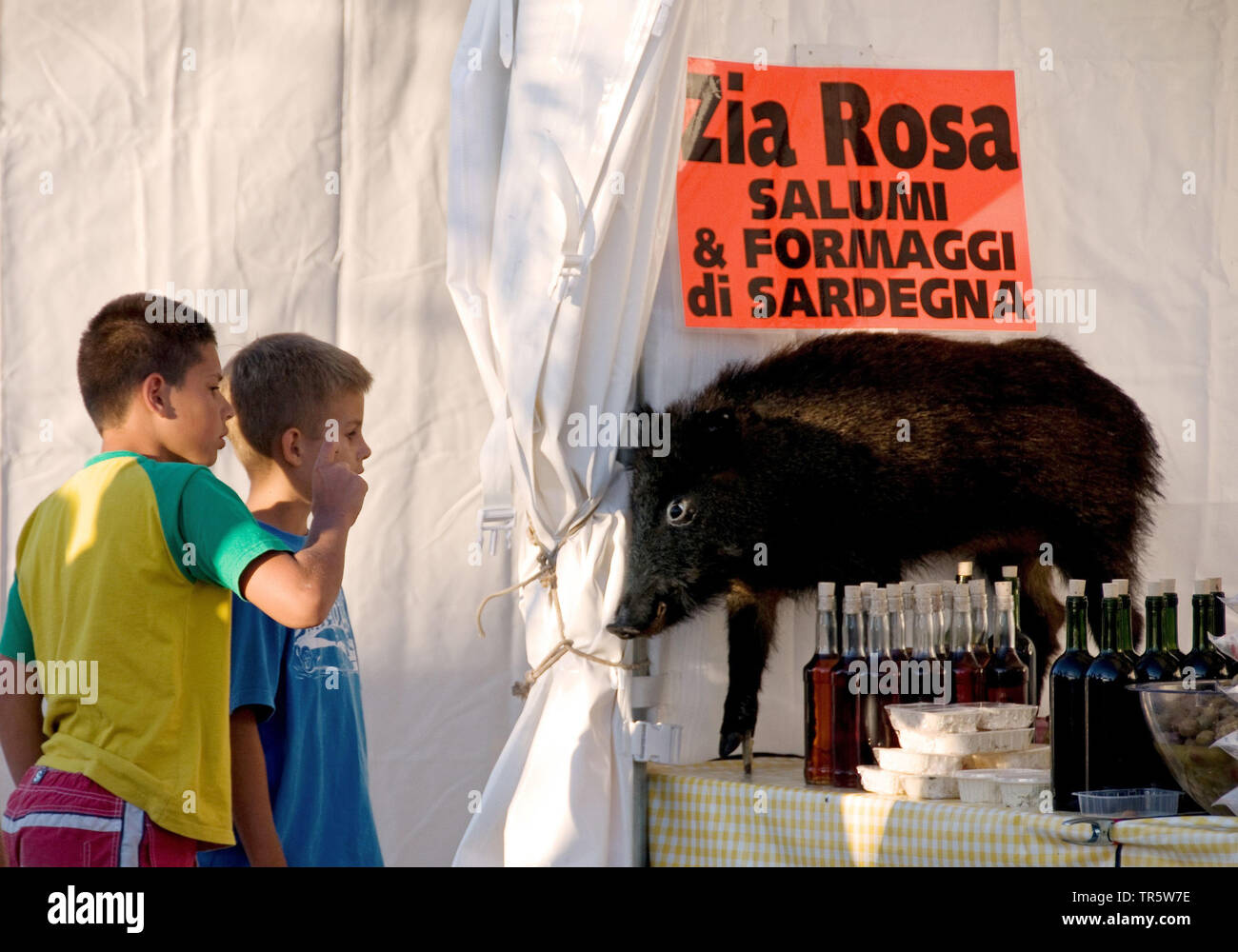 Wilde Eber, Schwein, Wildschwein (Sus scrofa), zwei Jungen, die gerade eine gefüllte Wildschwein in der alten Stadt, Italien, Sardinien, Alghero Stockfoto