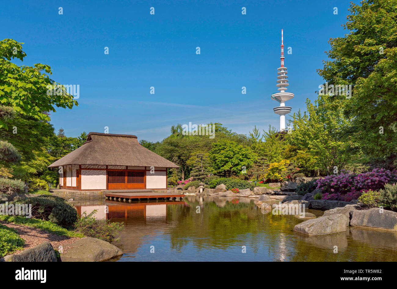 Japanese Garden Hamburg Germany Stockfotos Und Bilder Kaufen Alamy